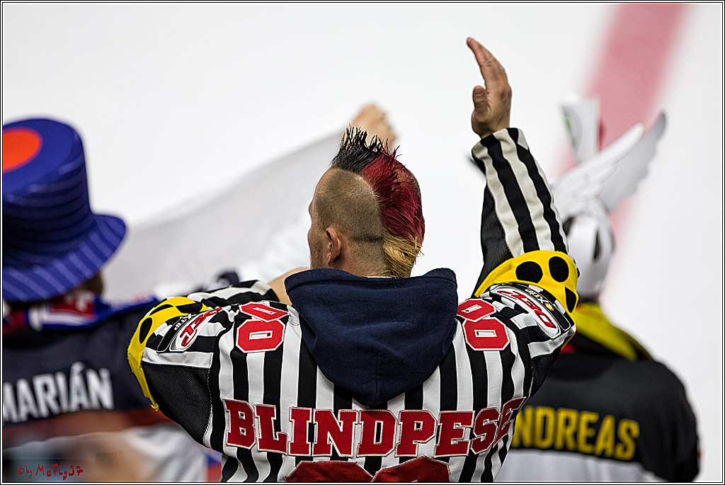 IIHF WM 2017, Slowakei - Deutschland, 10.05.2017